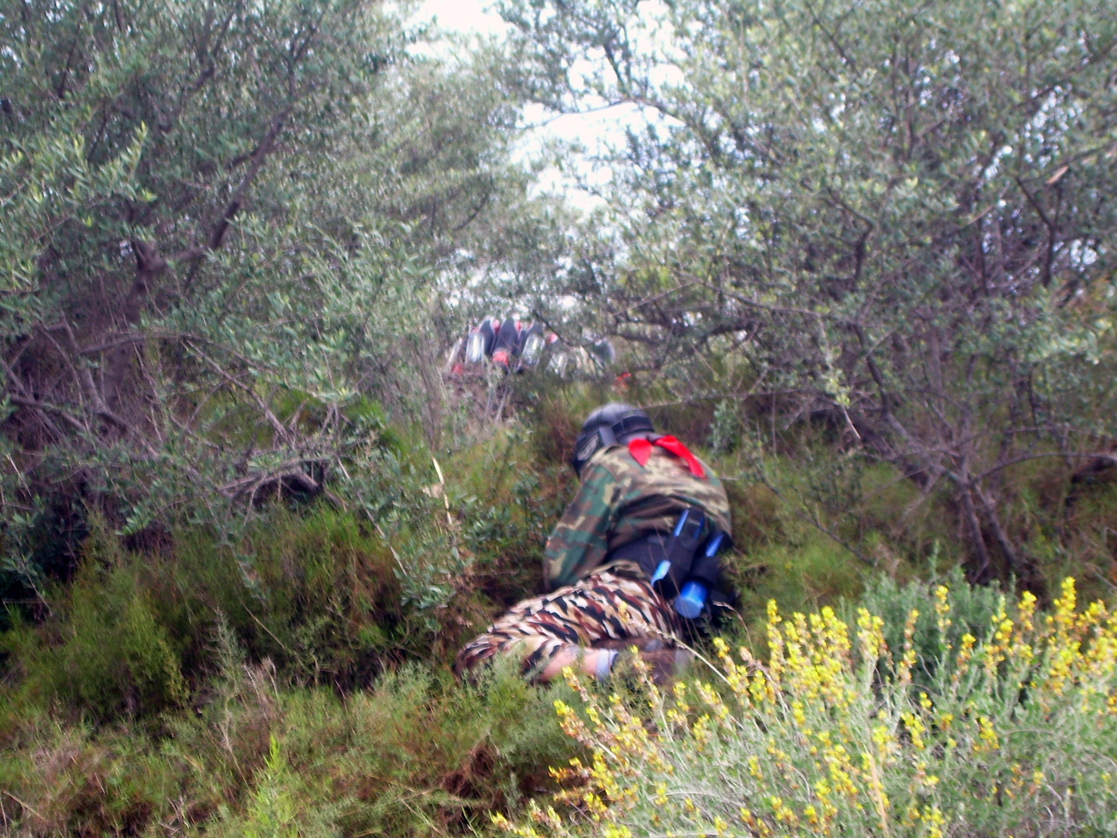 Fotografía DSCN0561 en el álbum Ribesalbes 2007
